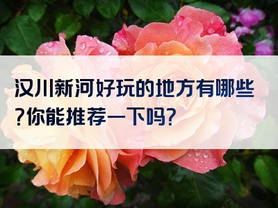 汉川新河好玩的地方有哪些？你能推荐一下吗？