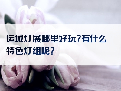 运城灯展哪里好玩？有什么特色灯组呢？