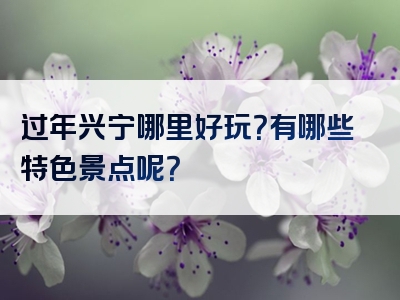 过年兴宁哪里好玩？有哪些特色景点呢？