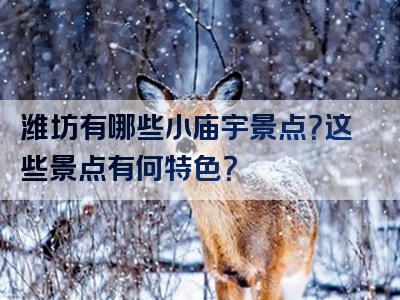 潍坊有哪些小庙宇景点？这些景点有何特色？