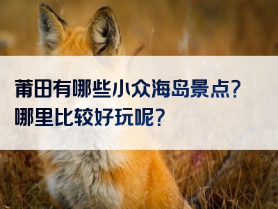 莆田有哪些小众海岛景点？哪里比较好玩呢？