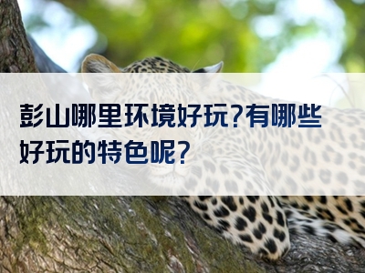 彭山哪里环境好玩？有哪些好玩的特色呢？