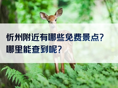 忻州附近有哪些免费景点？哪里能查到呢？