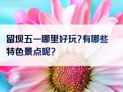 留坝五一哪里好玩？有哪些特色景点呢？