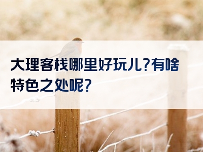 大理客栈哪里好玩儿？有啥特色之处呢？