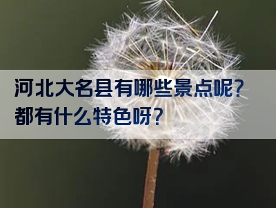 河北大名县有哪些景点呢？都有什么特色呀？