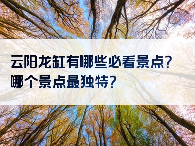 云阳龙缸有哪些必看景点？哪个景点最独特？