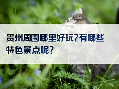 贵州周围哪里好玩？有哪些特色景点呢？