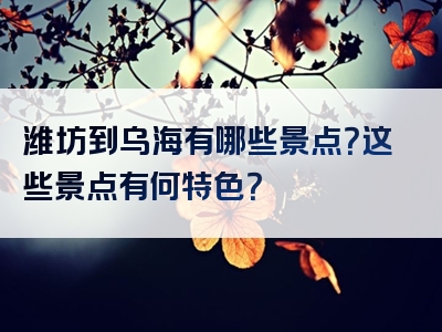 潍坊到乌海有哪些景点？这些景点有何特色？