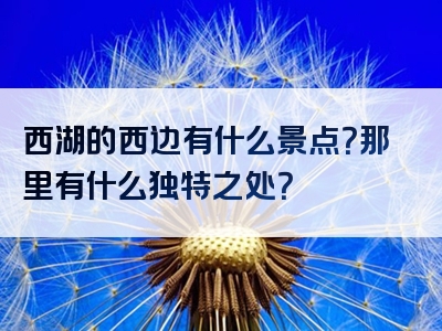 西湖的西边有什么景点？那里有什么独特之处？
