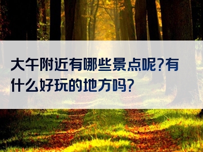 大午附近有哪些景点呢？有什么好玩的地方吗？