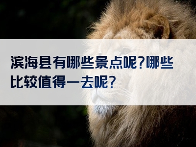 滨海县有哪些景点呢？哪些比较值得一去呢？