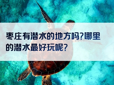 枣庄有潜水的地方吗？哪里的潜水最好玩呢？