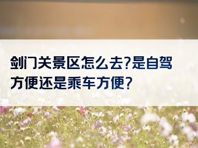 剑门关景区怎么去？是自驾方便还是乘车方便？