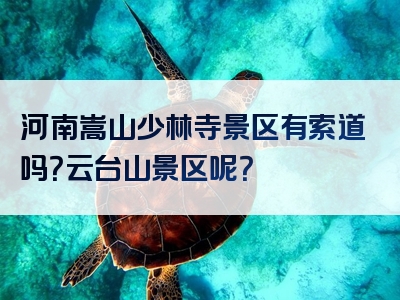 河南嵩山少林寺景区有索道吗？云台山景区呢？