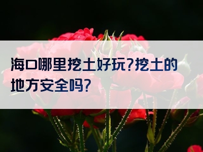 海口哪里挖土好玩？挖土的地方安全吗？