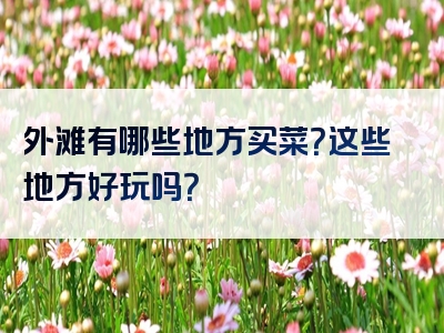 外滩有哪些地方买菜？这些地方好玩吗？