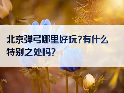 北京弹弓哪里好玩？有什么特别之处吗？
