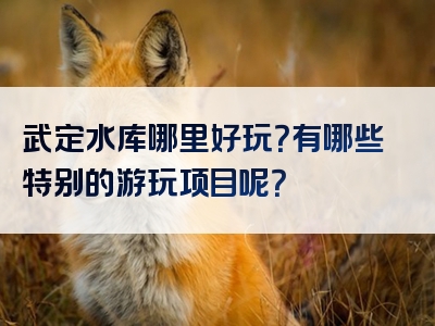 武定水库哪里好玩？有哪些特别的游玩项目呢？