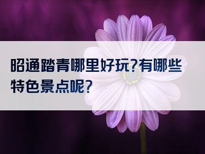 昭通踏青哪里好玩？有哪些特色景点呢？