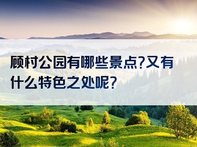 顾村公园有哪些景点？又有什么特色之处呢？