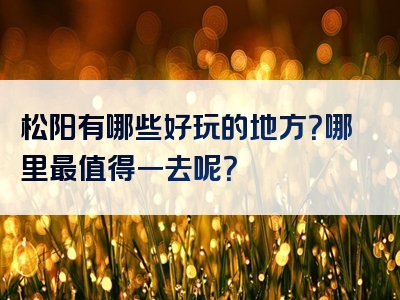松阳有哪些好玩的地方？哪里最值得一去呢？