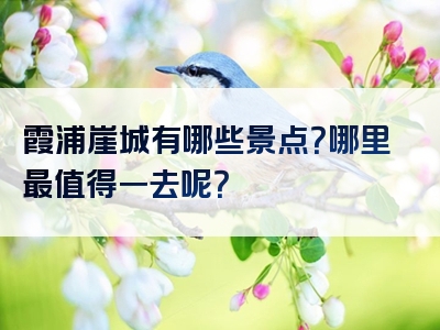 霞浦崖城有哪些景点？哪里最值得一去呢？