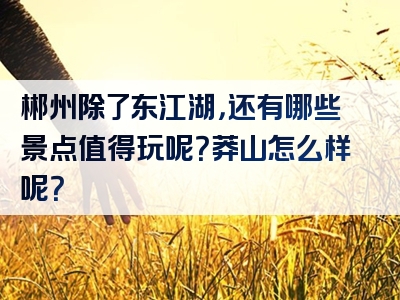 郴州除了东江湖，还有哪些景点值得玩呢？莽山怎么样呢？