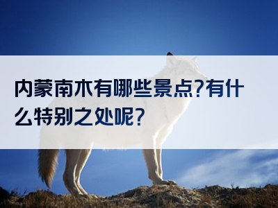 内蒙南木有哪些景点？有什么特别之处呢？