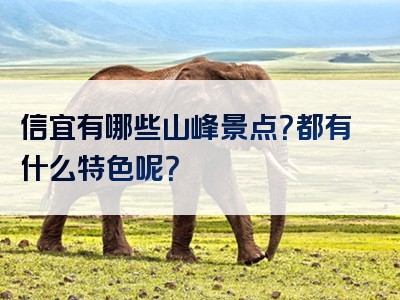 信宜有哪些山峰景点？都有什么特色呢？