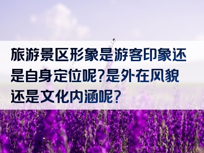 旅游景区形象是游客印象还是自身定位呢？是外在风貌还是文化内涵呢？