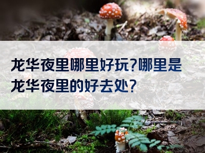 龙华夜里哪里好玩？哪里是龙华夜里的好去处？