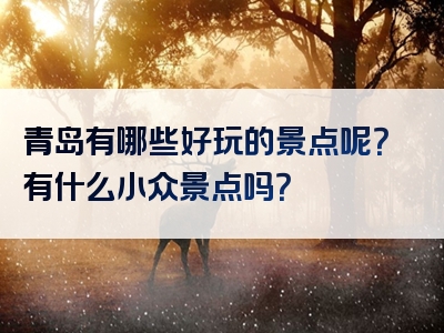 青岛有哪些好玩的景点呢？有什么小众景点吗？