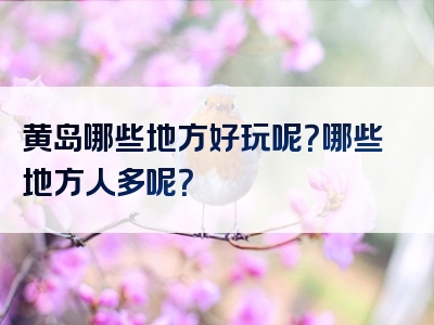 黄岛哪些地方好玩呢？哪些地方人多呢？