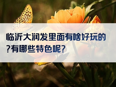 临沂大润发里面有啥好玩的？有哪些特色呢？