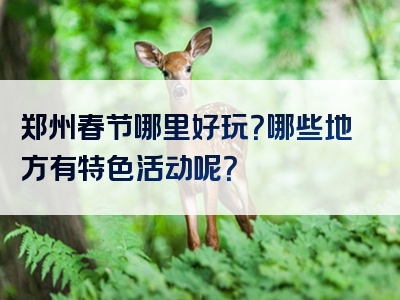 郑州春节哪里好玩？哪些地方有特色活动呢？