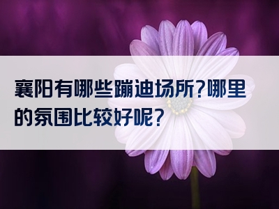 襄阳有哪些蹦迪场所？哪里的氛围比较好呢？