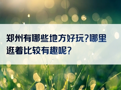 郑州有哪些地方好玩？哪里逛着比较有趣呢？