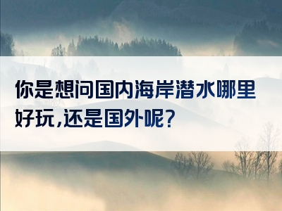 你是想问国内海岸潜水哪里好玩，还是国外呢？