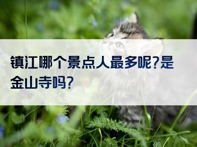 镇江哪个景点人最多呢？是金山寺吗？