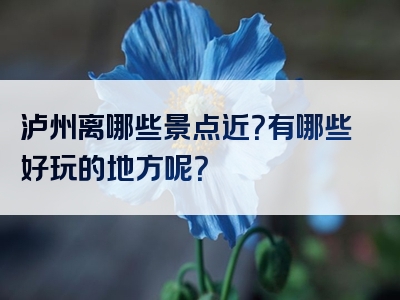 泸州离哪些景点近？有哪些好玩的地方呢？