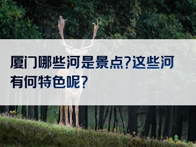 厦门哪些河是景点？这些河有何特色呢？