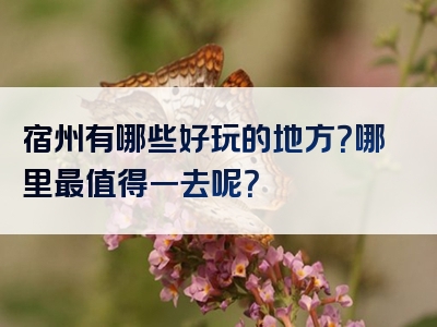 宿州有哪些好玩的地方？哪里最值得一去呢？