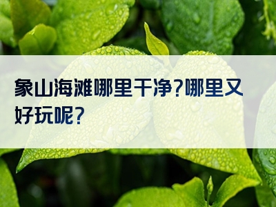 象山海滩哪里干净？哪里又好玩呢？