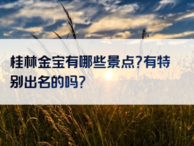 桂林金宝有哪些景点？有特别出名的吗？