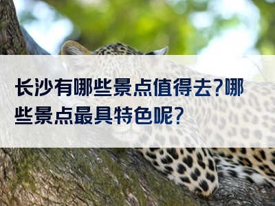 长沙有哪些景点值得去？哪些景点最具特色呢？