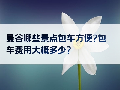 曼谷哪些景点包车方便？包车费用大概多少？
