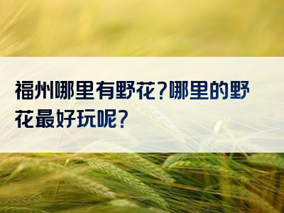 福州哪里有野花？哪里的野花最好玩呢？