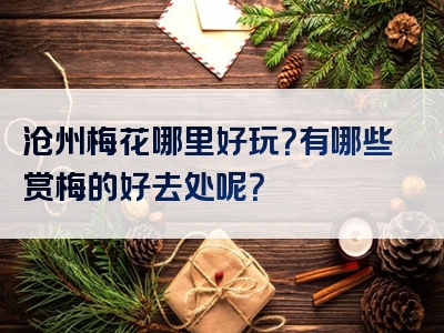 沧州梅花哪里好玩？有哪些赏梅的好去处呢？