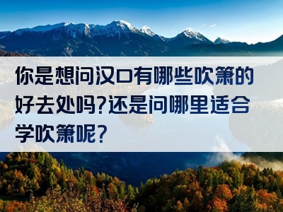 你是想问汉口有哪些吹箫的好去处吗？还是问哪里适合学吹箫呢？